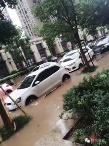 地板涉水能要不(地板被水跑了怎么办)