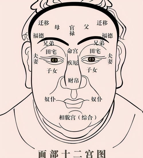 老祖宗识人术 手握金鱼骨,富贵不用愁 ,何意 啥为金鱼骨纹