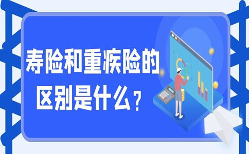 人寿保险是什么？