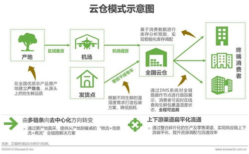 2020年中国生鲜供应链市场研究报告 冷链物流成为决定性因素 读报告