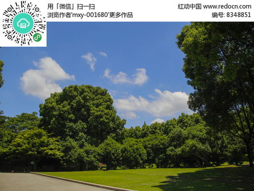 森林绿树蓝天高清图片下载 红动网 