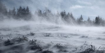 突泉天气预报暴雪