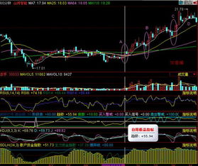 请问断线股票看5分钟图行吗，想做T把成本降下来，妈的被这些狗庄家坑死了