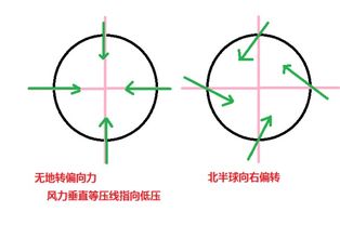 为什么北半球台风逆时针旋转 