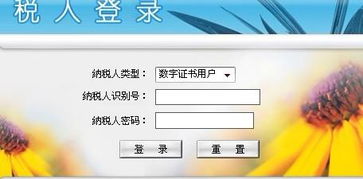 纳税人识别号的密码默认是什么 我记得我没设置过