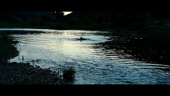 一只狗追一个人过河在河边被那人用枪打死是什么电影 