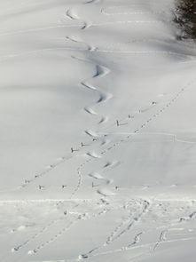 雪之魅，写出描写下雪的词语有哪些