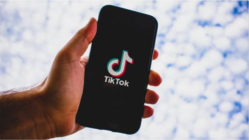 安卓版tiktok_tiktok广告账户开户代理商