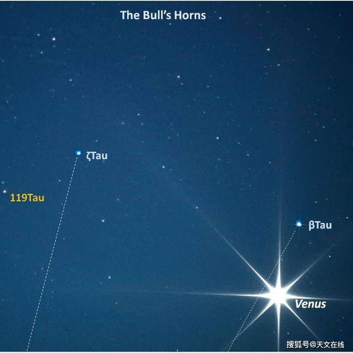水星三王星相位,什么星座的人有预知未来的能力？