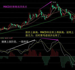 股价平稳，MACD创新高，这算什么信号？