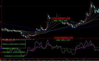 求经典大智慧 rsi1金叉rsi2，条件rsi1>；rsi3。谢谢