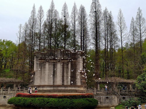 旅游方式分享 钟山风景区 