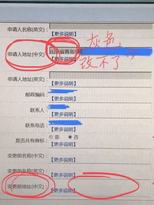 商标网上申请变更地址为什么改不了 