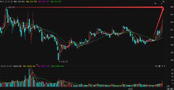 选择一个成长性股票从那几个方面入手，技术面多点还是基本面多点？？？