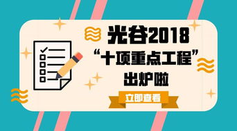 头条 信息量极大 光谷发布2018年 十项重点工程 