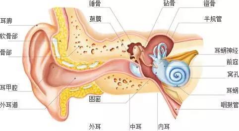 江津助听器 耳朵里流脓流水且伴有听力损失怎么办