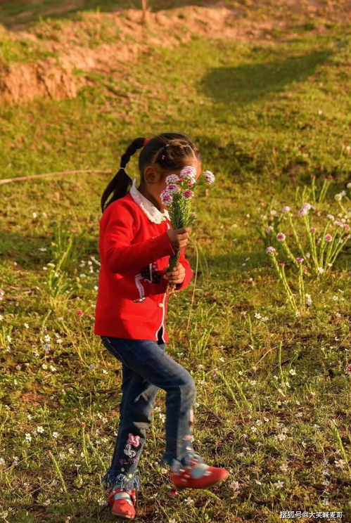 妈妈送给女儿的鲜花有哪些