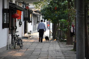 2012.10.4上海南汇新场古镇 滴水湖和南汇嘴观海公园自驾一日游图片 