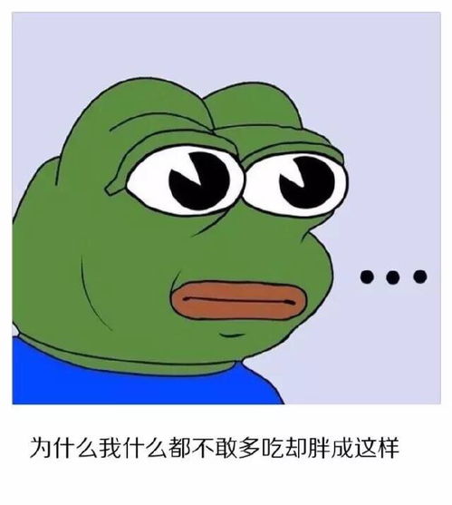 为什么什么都不敢