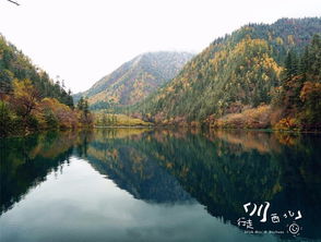 阿坝环线8日自驾游 毕棚沟,九寨沟,九曲,达古冰山,成都