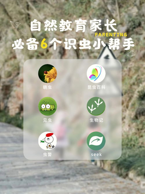 疯狂安利 6款自然教育必备识虫小帮手 
