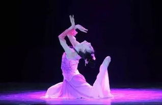 Something Chinese Classical Dance 