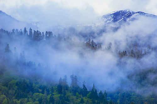 寓意山林诗句大全,形容山里空气好的诗句？