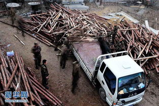 山东平邑石膏矿坍塌事故仍有25人被埋井下