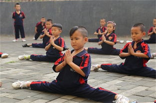 少林寺武术学校对孩子有什么影响