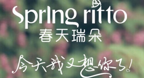 河池春天瑞朵内衣提供加盟费用 加盟条件 代理政策等详细信息 D8商机网 