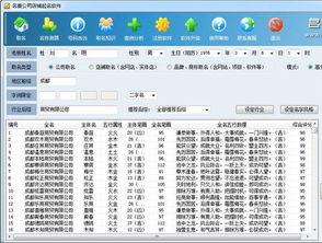 名赛公司取名软件下载 名赛公司取名软件绿色版 名赛公司取名软件4.0 