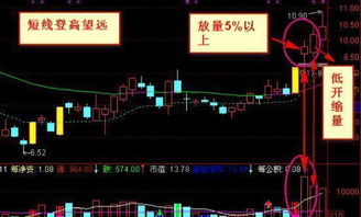 智云健康股价大幅上涨，股东匡明增持1.58万股股份