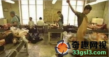 死刑之前的活体捐献图片