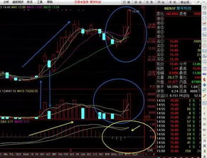 为什么提示的股票次日必涨3个点