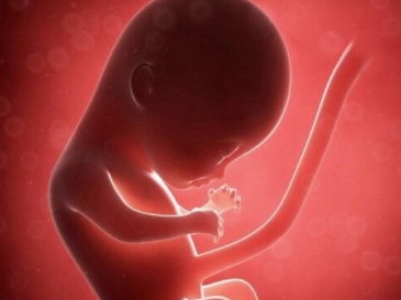 原创怀孕后，孕妈尽量抓住胎儿发育最“关键”的3个时期，别错过了！