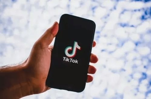 tiktok推广主页_TikTok促销与广告