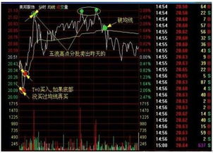 亏本今天卖出一部分，明天低位买入，可以降低成本价吗