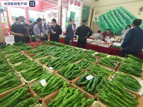 第22届中国 寿光 国际蔬菜科技博览会今日开幕