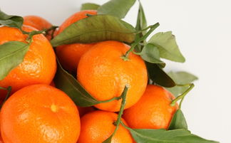 常吃橘子的好处是什么 经常吃橘子有哪些好处