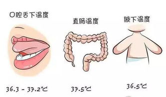 健康生活一分钟 体温 脉搏您测对了吗