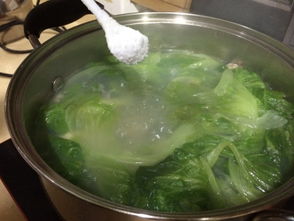 白贝生菜汤的做法 白贝生菜汤怎么做 白贝生菜汤 菜谱 好豆 