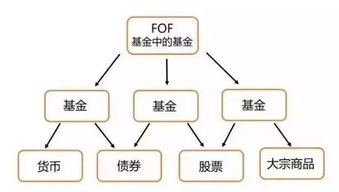 这几只FOF基金建议你不要买 