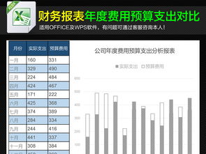 财务分析和预算报表怎么做，是什么内容，求教各位