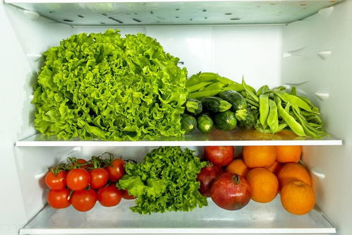 保存绿叶菜有妙招,不要直接放冰箱,牢记3个方法,菜叶不变黄