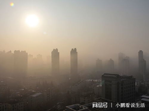 雾霾对身体的危害 雾霾天气对肺部有什么危害？ 