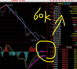 为什么次新股比较好炒呢,运行了1-2个月的次新股