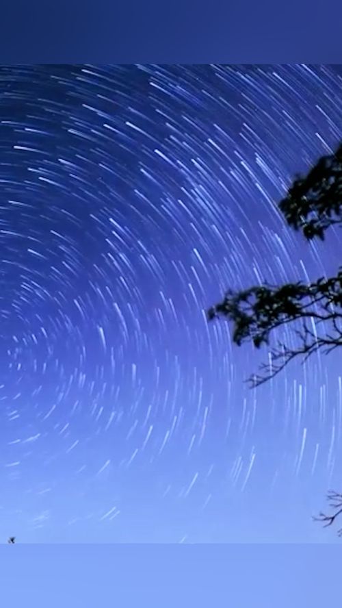 震撼 江苏溧阳南山竹海现绝美流星雨 