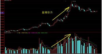 600353后市如何我7.56进的近期会升得到7.56吗