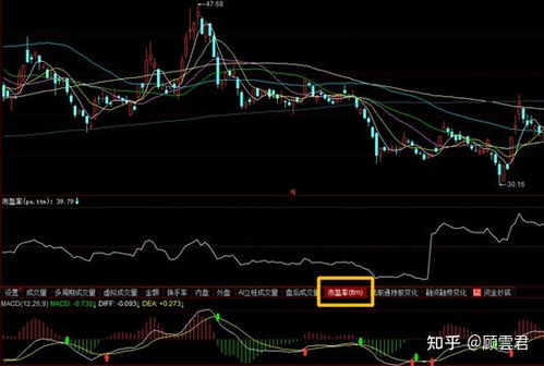 ttm市盈率什么意思