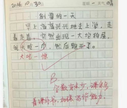 小学生另类搞笑作文,妈妈看后一言不发,直接满大街追着打